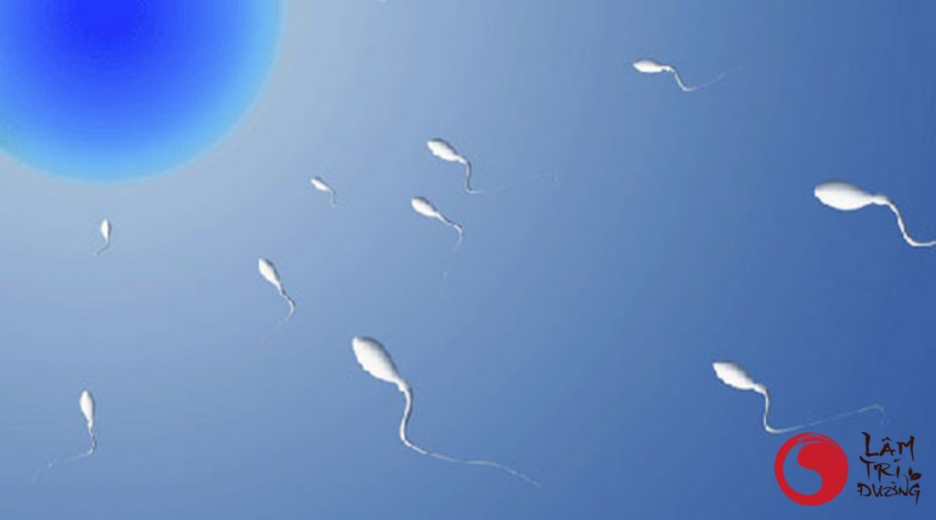 Nguyên nhân hiếm muộn ở phụ nữ có thể do môi trường âm đạo không có phép tinh trùng sinh sống