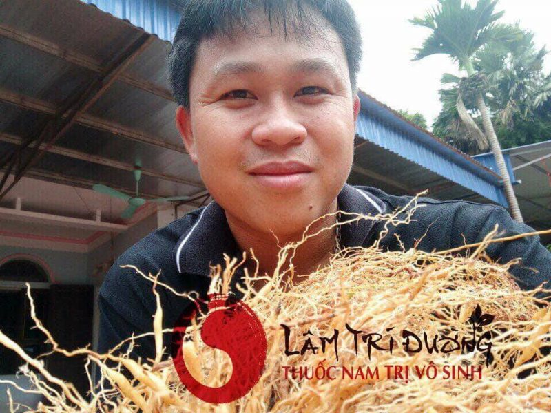 Thuốc nam chữa động thai - Lâm Trí Đường
